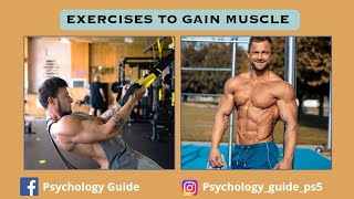 Exercises to Gain Muscle