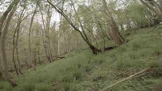 Protek 35, Practice In Tunbrook Woods. 2.7K