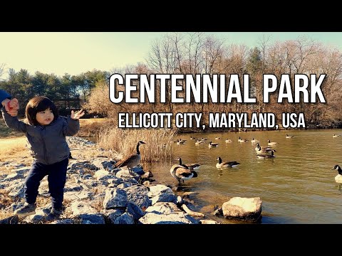 Nature Walk in Centennial Park | Ellicott City, Maryland, USA | Winter Season