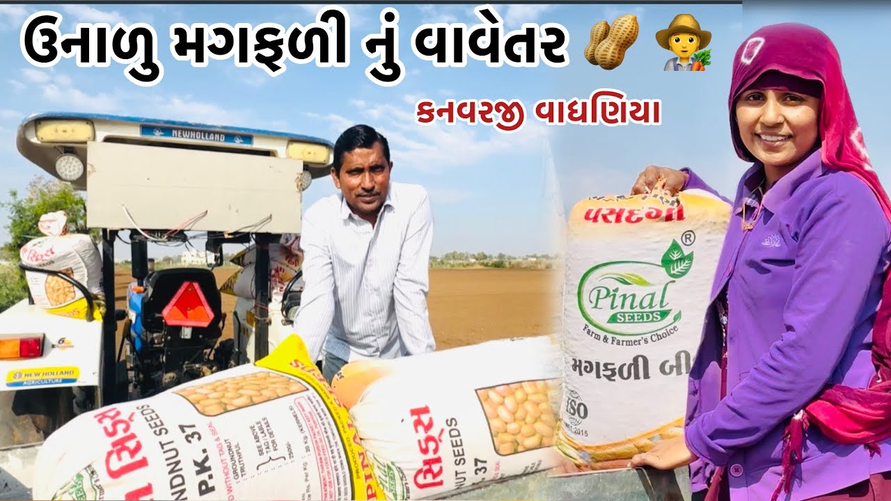 ઉનાળુ મગફળીનું વાવેતર #vairalvideo #farming #p_k_vadhaniya 🥜 