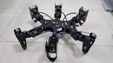 Hexapod Robot (Robo-Soul CR-6 MK-II) - Reorientation Test