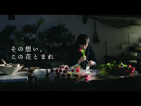 『mellow』特報映像