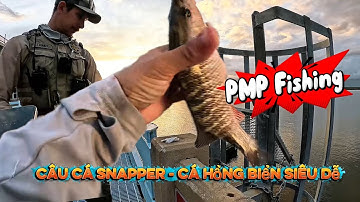 Câu cá ở Mỹ- Trải nghiệm câu cá snapper ( cá Hồng biển) siêu dễ.