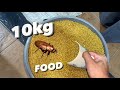 i Bought 10kg of Cockroach food
