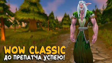 WoW Classic Годовщина - Наконец то нормальный стрим!