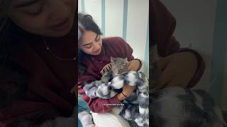 she got a little overstimulated but IM still so proud of her 🥹🩷 #scaredcat #fostercat