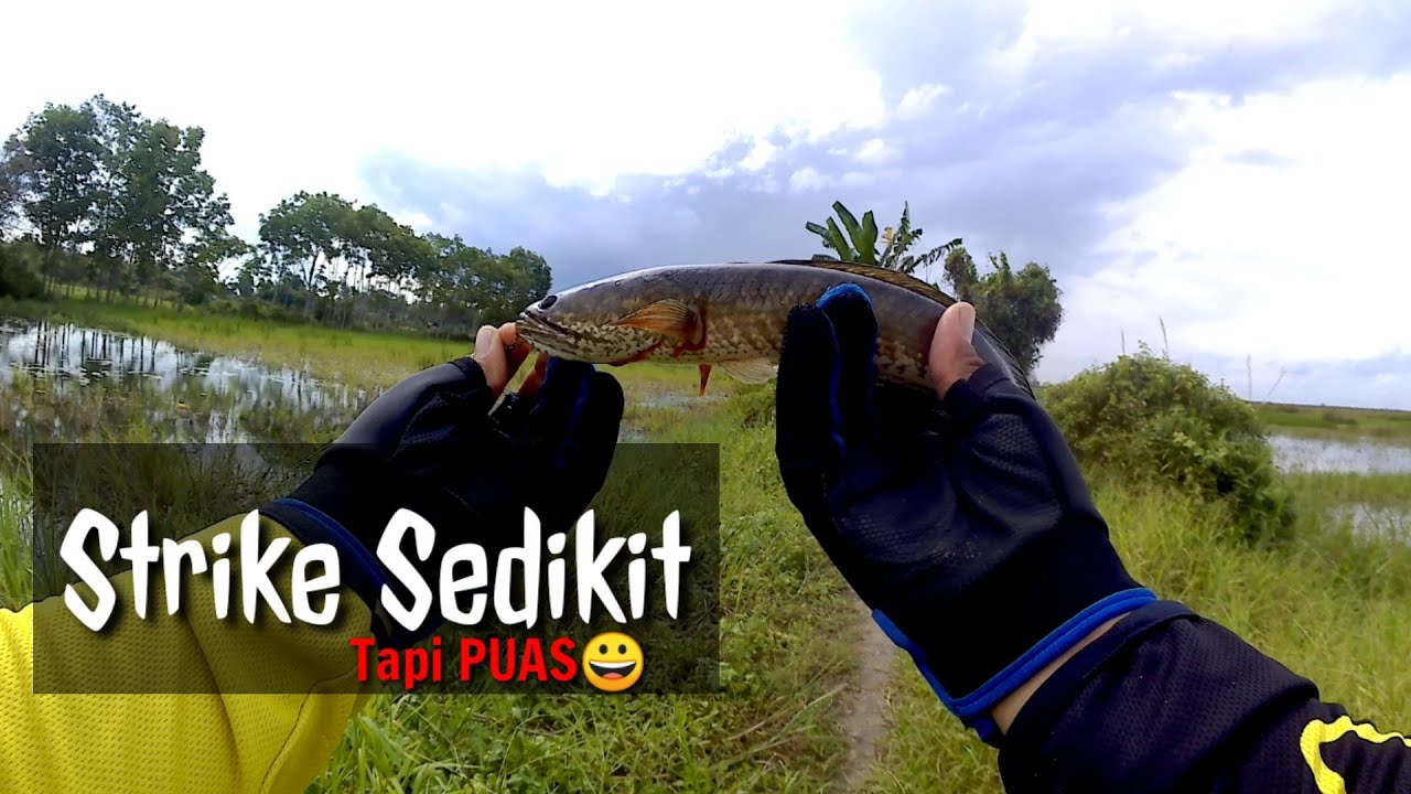 TAK DISANGKA PE RELIX NUSANTARA CEKING 0.6 KUAT ANGKAT KOCOLAN GABUS 😂😂😂😉