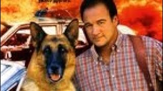 Review of movie K-911 (1999)