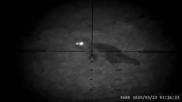 Night Vision foxing with PARD nv007
