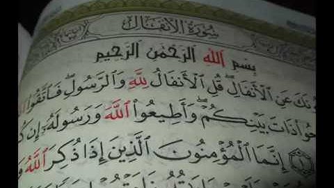 تلاوة بديعة من تراويح   ليلة  29  رمضان  للقارئ طلحة الدريوش