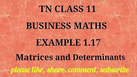 Tn 11business maths |example 1.17|state board |Matrices and Determinants |gmrrao maths|