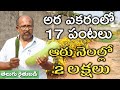 అరెకరం భూమిలో 17 రకాల కూరగాయలు పండిస్తున్నాం | 17 Crops in Half Acre Land | తెలుగు రైతుబడి