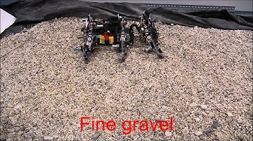 Learning compliance by using the same gait on fine and coarse gravels