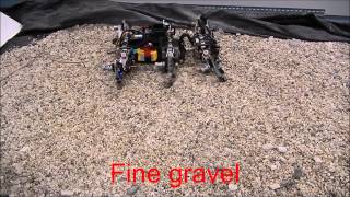 Learning compliance by using the same gait on fine and coarse gravels Energy Efficient Walking Using Different Gaits On Different Surfaces