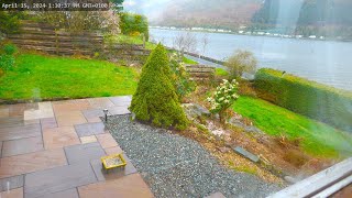 Holy Loch And Wildlife  Dunoon Scotland