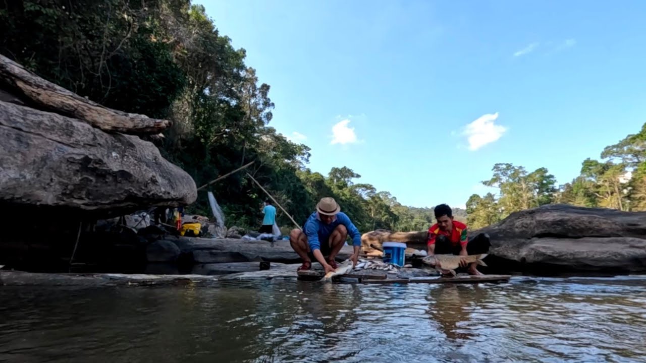 ຢາມມອງຖືກປາໂຕໃຫຍ່//ยามมองถูกปลาโตใหญ่ Dong Una