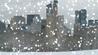 [10 Hours] Snow Falling in Central Park, NY - Video & Soundscape [1080HD] SlowTV