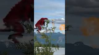 SCP 173 vs Godzilla in real life #Short