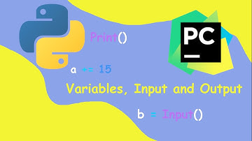 Python | #1: variables, input and output