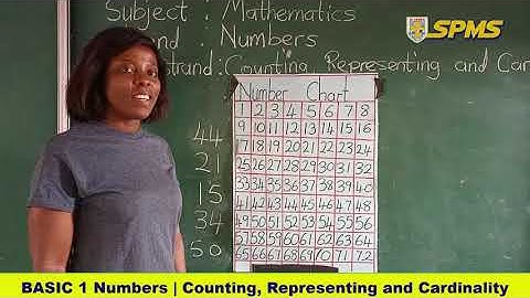 basic 2 numbers counting representing and cardinality current