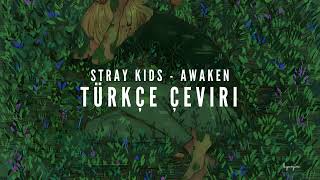 [Türkçe Çeviri] Stray Kids - Awaken