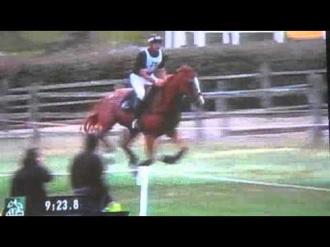 Andrew Nicholson 2010 World Equestrian Games-Event...