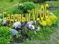 Садовый VLOG. Конец июня - начало июля 2013