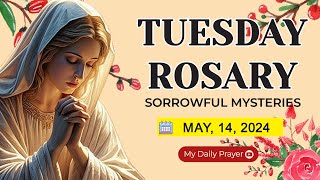 ROSARY TUESDAY: SORROWFUL MYSTERIES 🟡 MAY 14 2024🌹ROSARY PRAYER AND ENCOUNTER WITH CHRIST