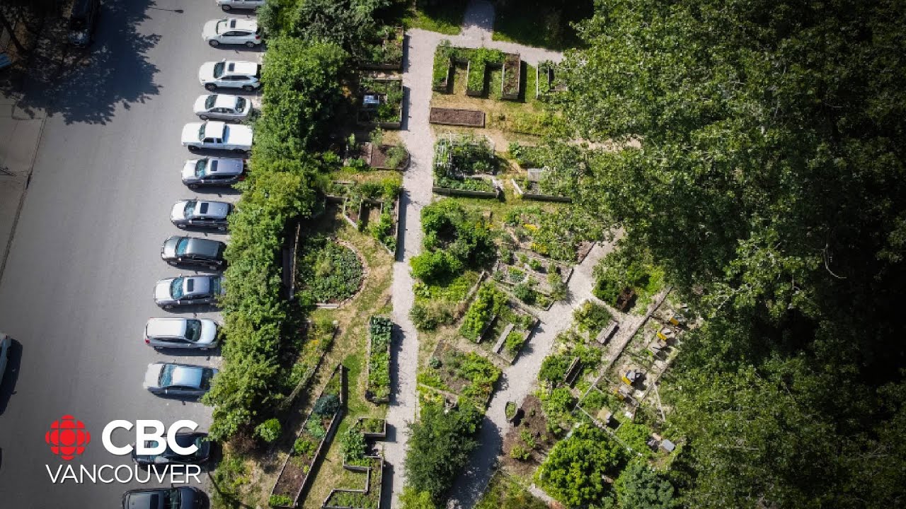 Vancouver’s guerrilla gardeners
