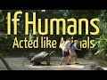 If Humans Acted Like Animals (Ft. Eugena Bey)