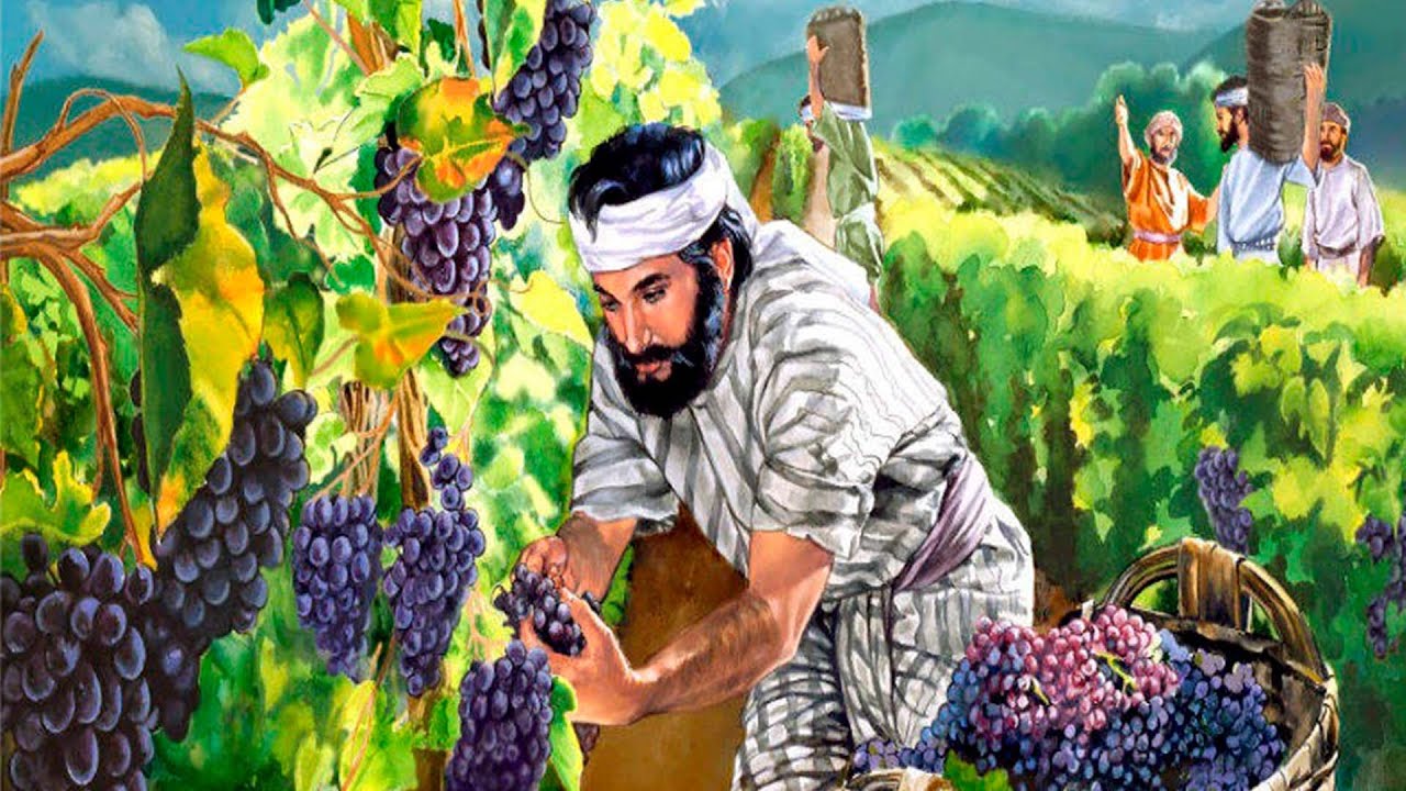 Злой виноградарь
