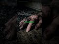 Una Crown Homicide: The Clenched Fist Anomaly #Shorts