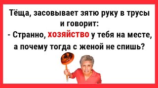 Теща засунул руку зятю в трусы! Сборник Свежих Анекдотов! Юмор!