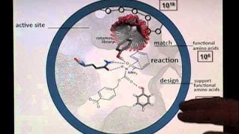 Enzyme Engineering Guided by Molecular Dynamics Simulations