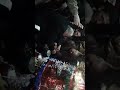 سرغايا عرس محمد احمد رستم