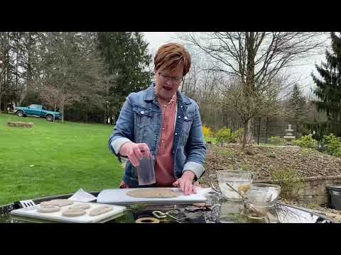 Amy Coffee Ground Fossils