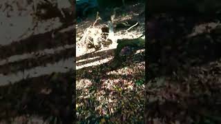 Health Studies/Environmental education