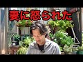 メインチャンネルをたまたま見た妻から注意を受けました。　　【園芸超人カーメン君】