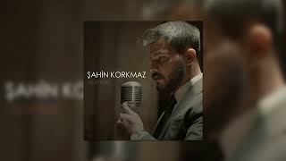 Şahin Korkmaz - İsyankar Resimi