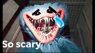 I Added Memes to The Horror Game, Poppy Playtime cuz I can. (READ DESC)