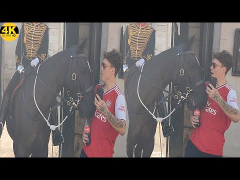 Thirsty Queen's Horse Tries To Drink Tourist Coca Cola Bottle