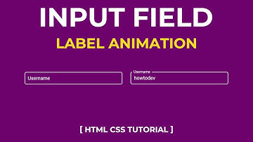 CSS Input Field Label Animation | CSS Only Floating Label