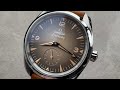 Omega Seamaster Railmaster 235.12.38.20.13.001 Omega Watch Review