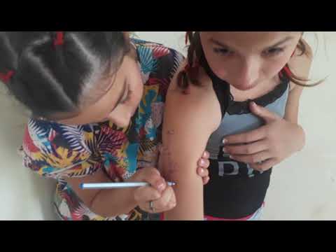 დავალებების შესრულება