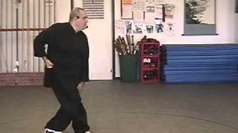 Hsing Yi - 5 Element Form - Movement 3 - side view