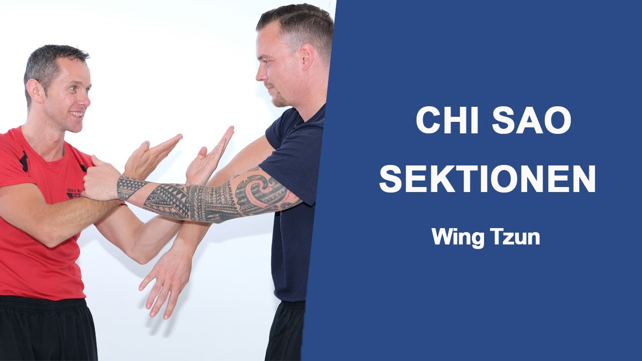 Wing Tzun Ranks Wing Tzun Chi Sao Sektionen richtig lernen und anwenden - YouTube