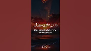 سورة الرعد آيات تلامس القلوب وتبعث الطمأنينة | Surah Ar-Ra'd Heart-touching Quran Verses Bringing