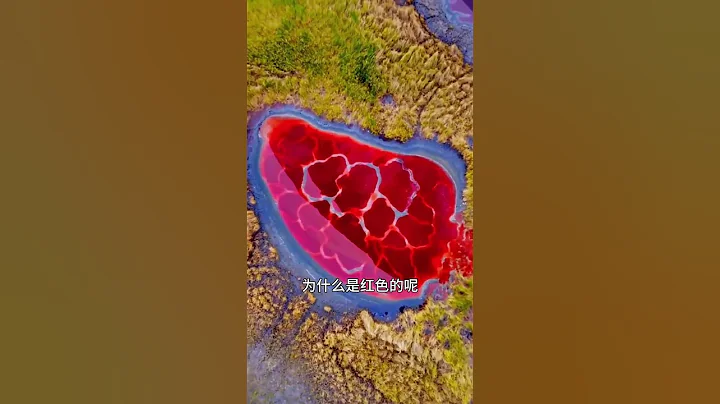 （上集）您知道隐藏在沙漠里的地球之心吗？导航在这里都失灵，是世间难寻的震撼！ #视觉盛宴  #探索宇宙  #旅游攻略 #旅行推荐官 #旅行大玩家 #大美中国 #旅游景点推荐 （续集请点击说明） - 天天要闻