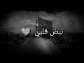 ياحبيبي ياعلي نبض قلبي ياعلي قصيده كامله mp3