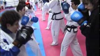 Taekwon-do ITF Hand-Part Training 3